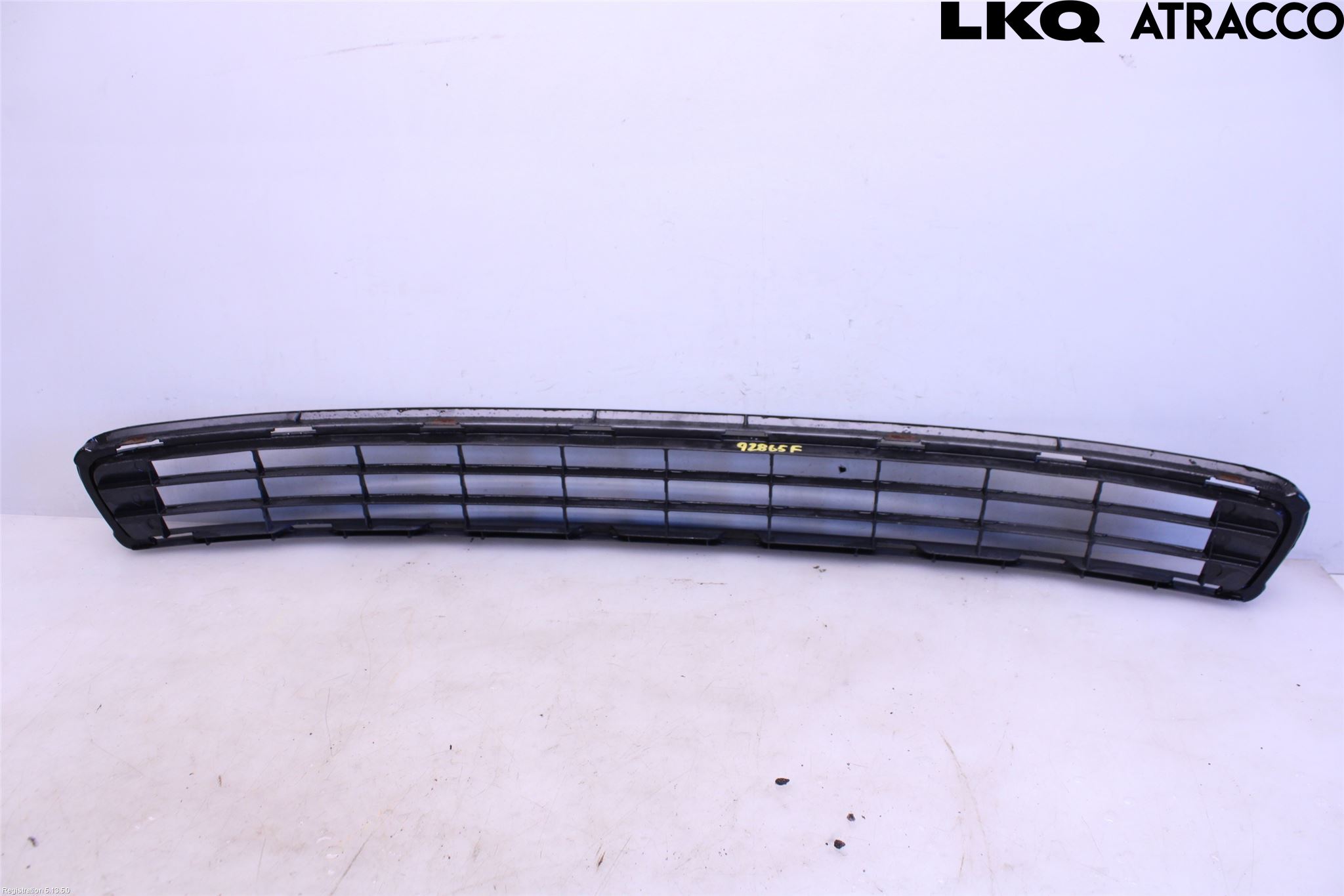 Toyota RAV 4 06-12 Grill-Gitter