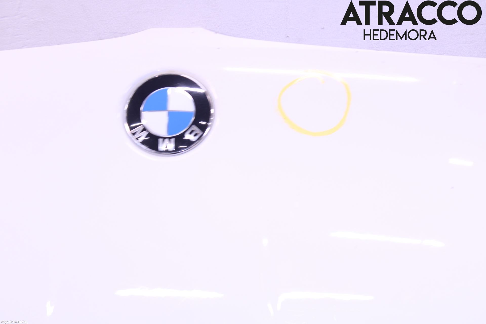 BMW X3 E83     03-10 Panser