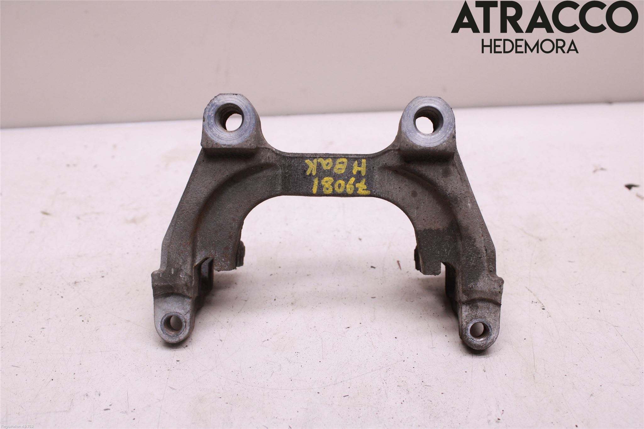 Volkswagen VW TIGUAN 16-24 Bremsecaliper Feste Holder