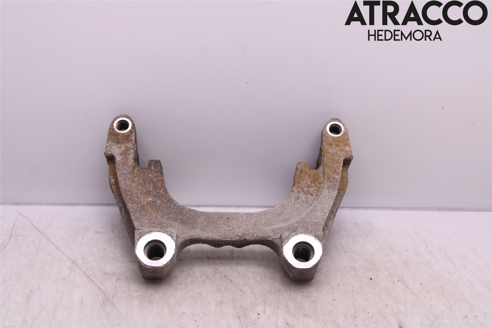 Skoda KODIAQ 17-24 Bremsecaliper Feste Holder