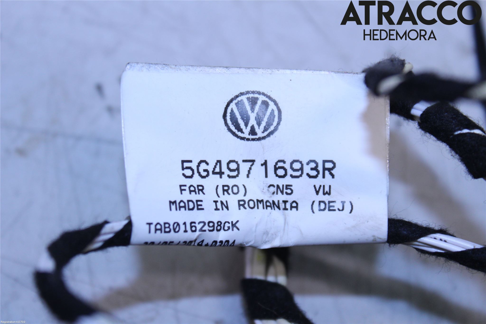 Volkswagen VW GOLF / E-GOLF VII 13-20 Ledningsnett
