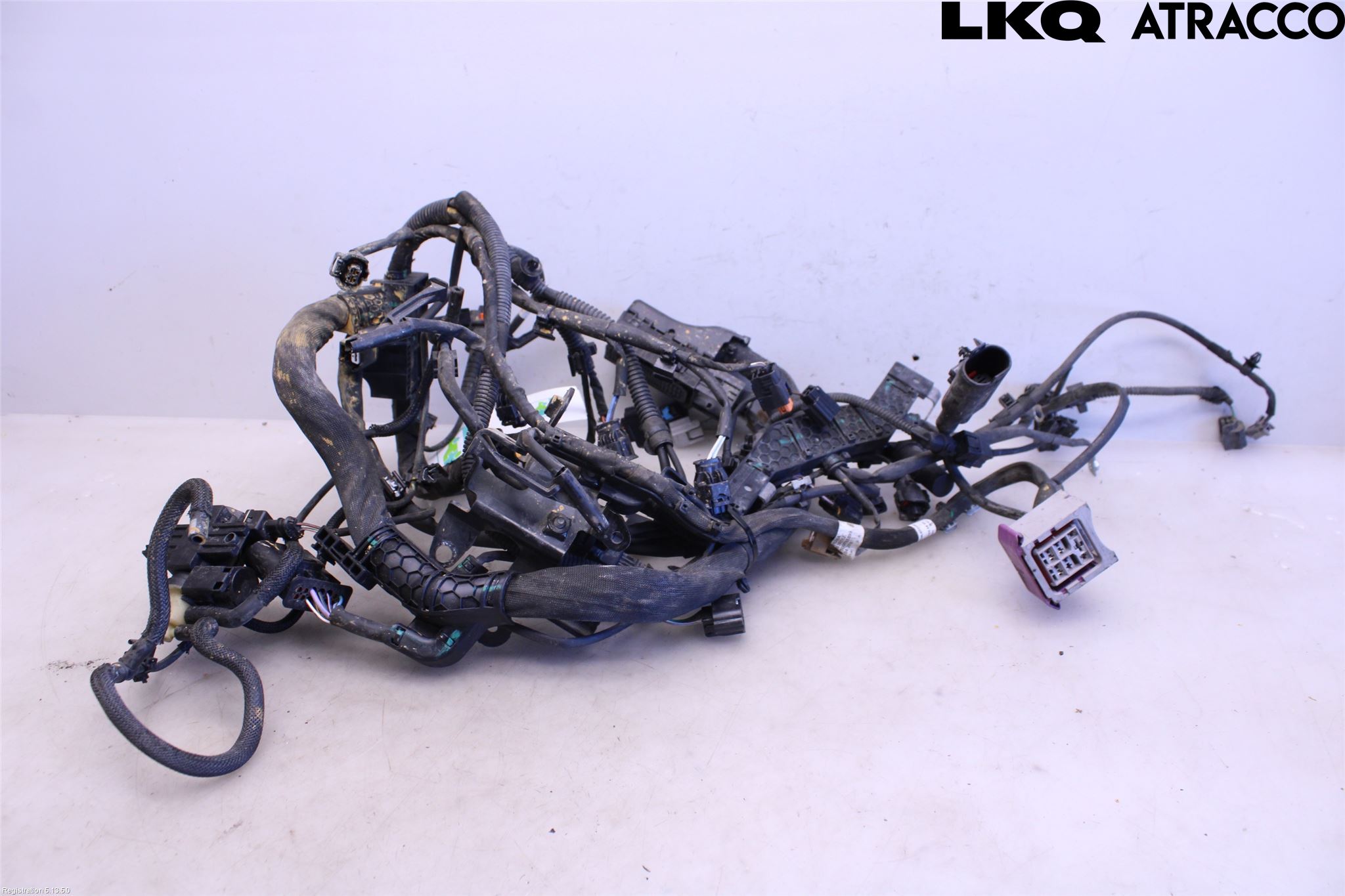 Mercedes-Benz MB VITO/V-KLASS (W640,W447,W448) 14- Ledningsnett