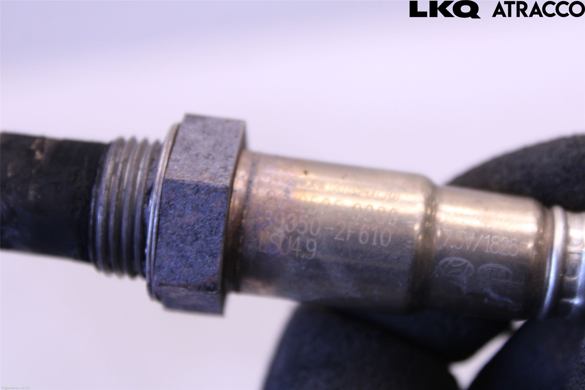 Kia SPORTAGE (QL) 16-21 Inns Lambdasonde