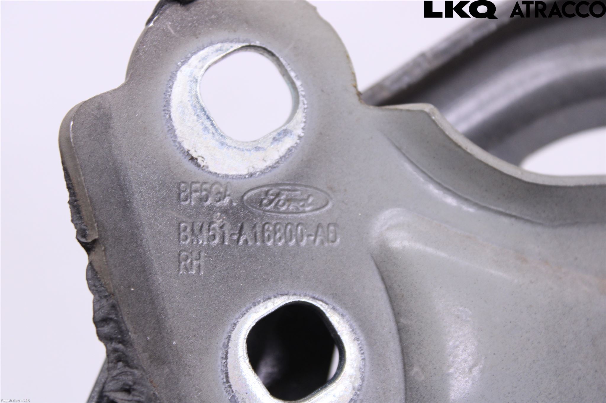 Ford FOCUS 15-18 Panser Hengsel - Hengsler