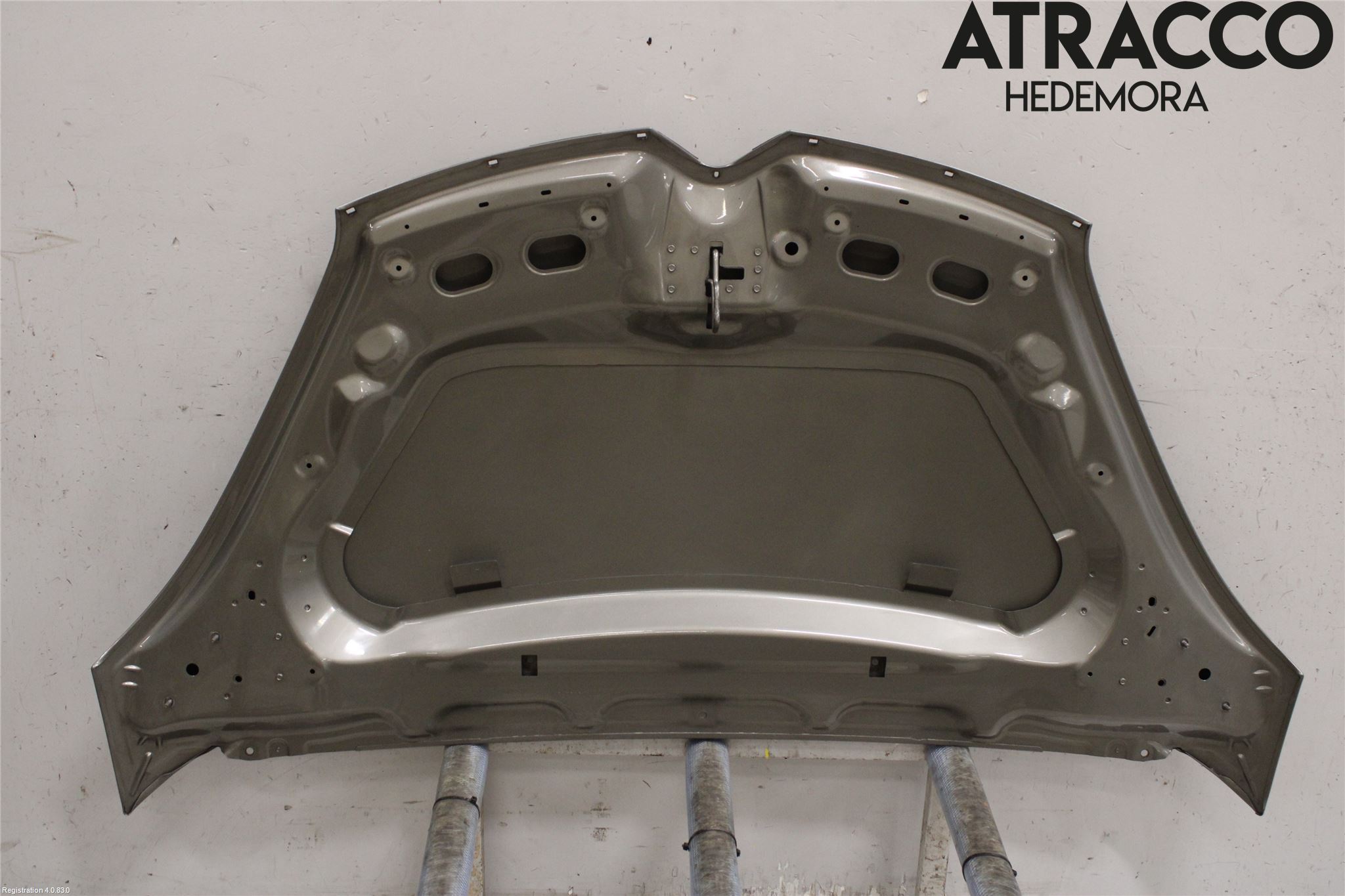 Citroen C4 PICASSO 06-13 Panser