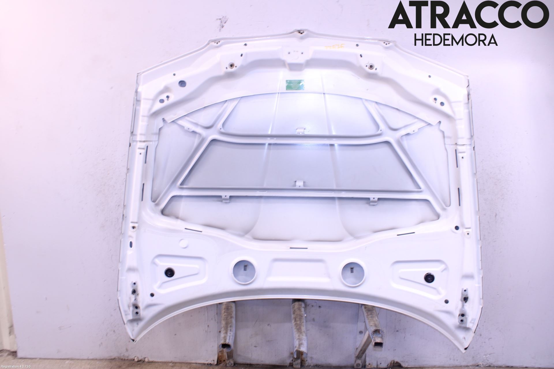 BMW X3 E83     03-10 Panser