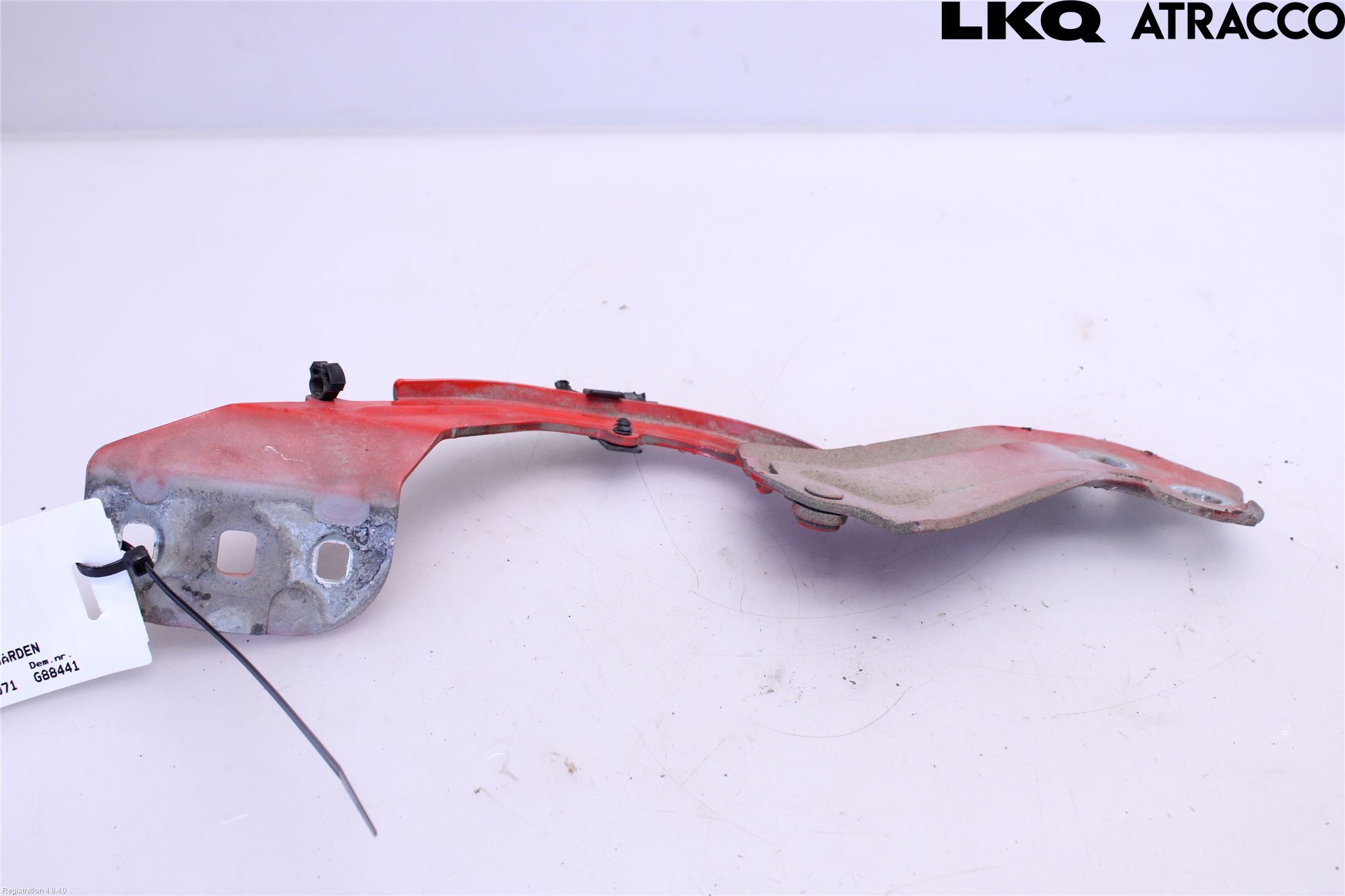 Ford FOCUS 15-18 Panser Hengsel - Hengsler
