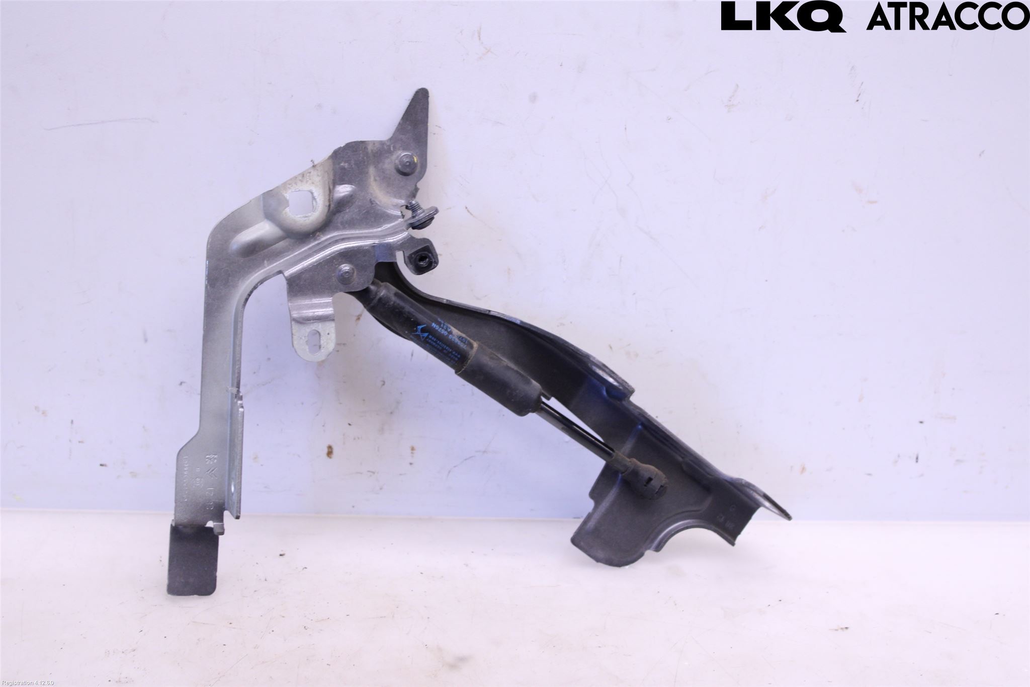 Citroen DS 7 CROSSBACK 19-23 Panser Hengsel - Hengsler