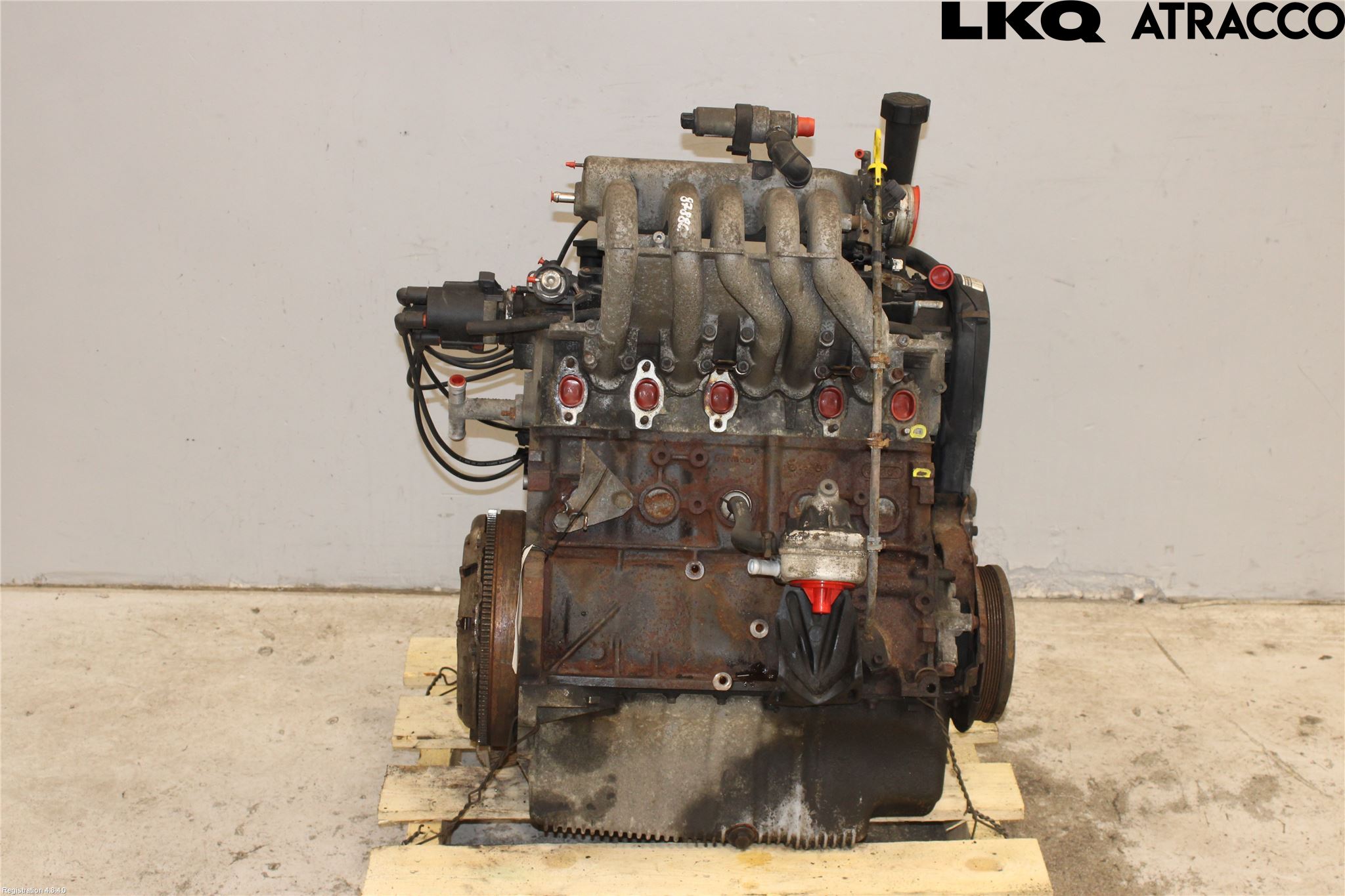 Volkswagen VW TRANSP/CARAVELLE (T4) 91-03 Motor Bensin