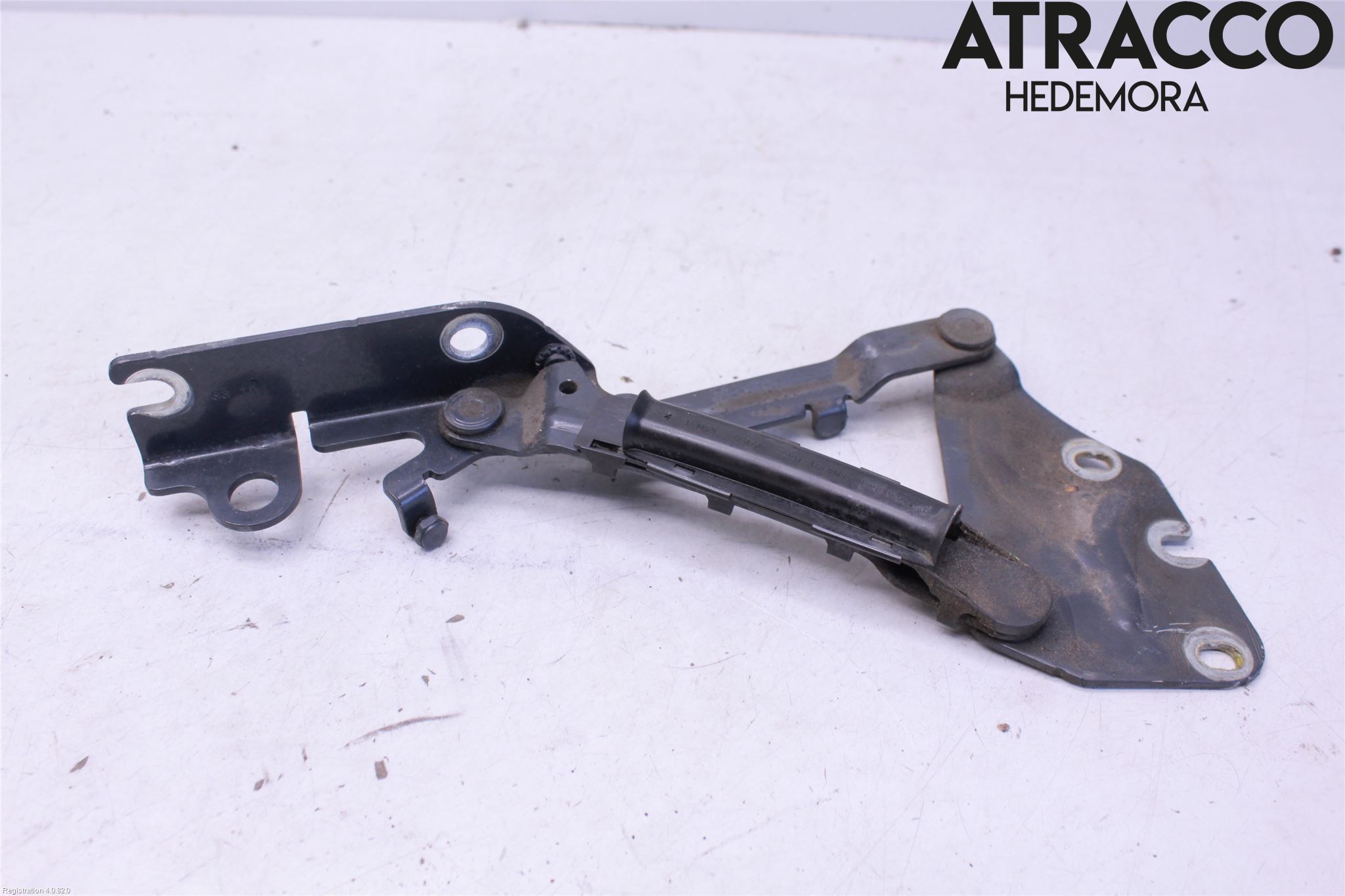 Volkswagen VW GOLF PLUS/CROSS GOLF 04-14 Panser Hengsel - Hengsler