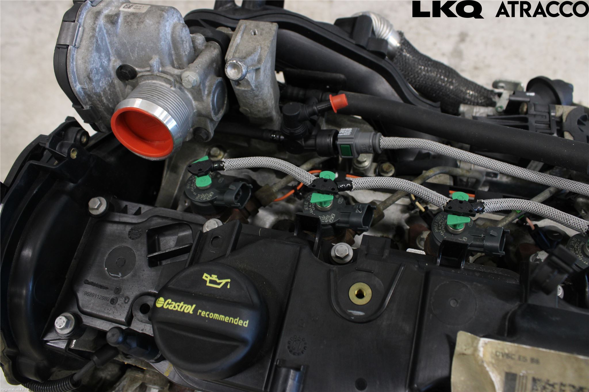Ford FOCUS 11-14 Motor Diesel
