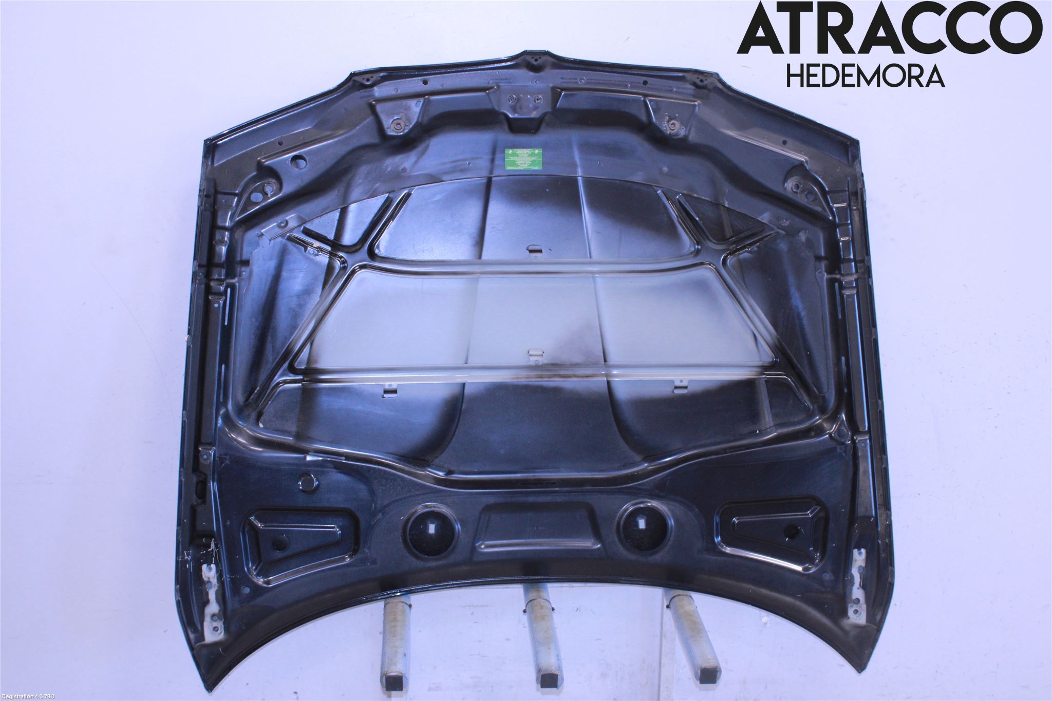 BMW X3 E83     03-10 Panser