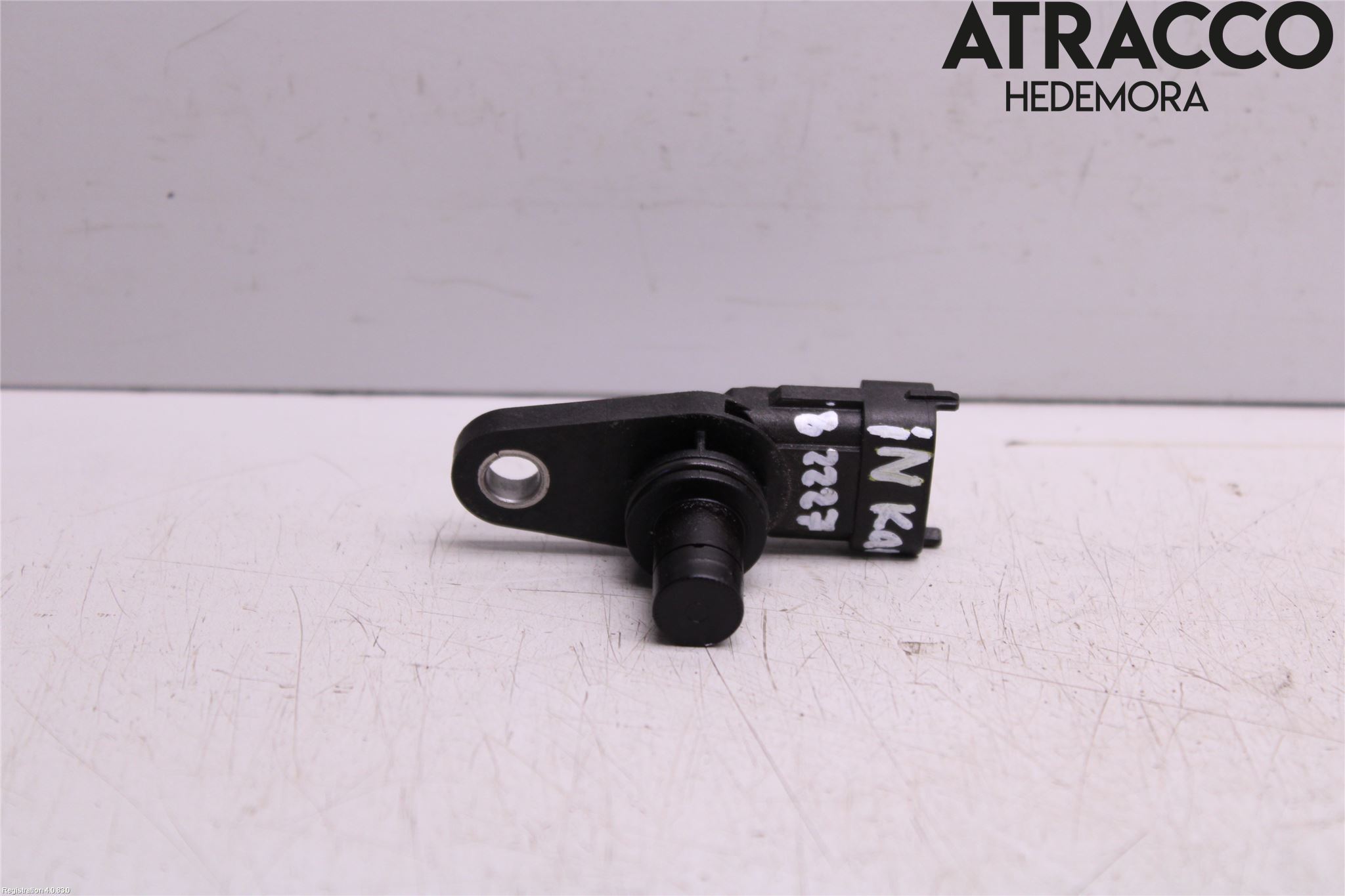 Honda CIVIC 17-22 Giver Turtall - Tenning