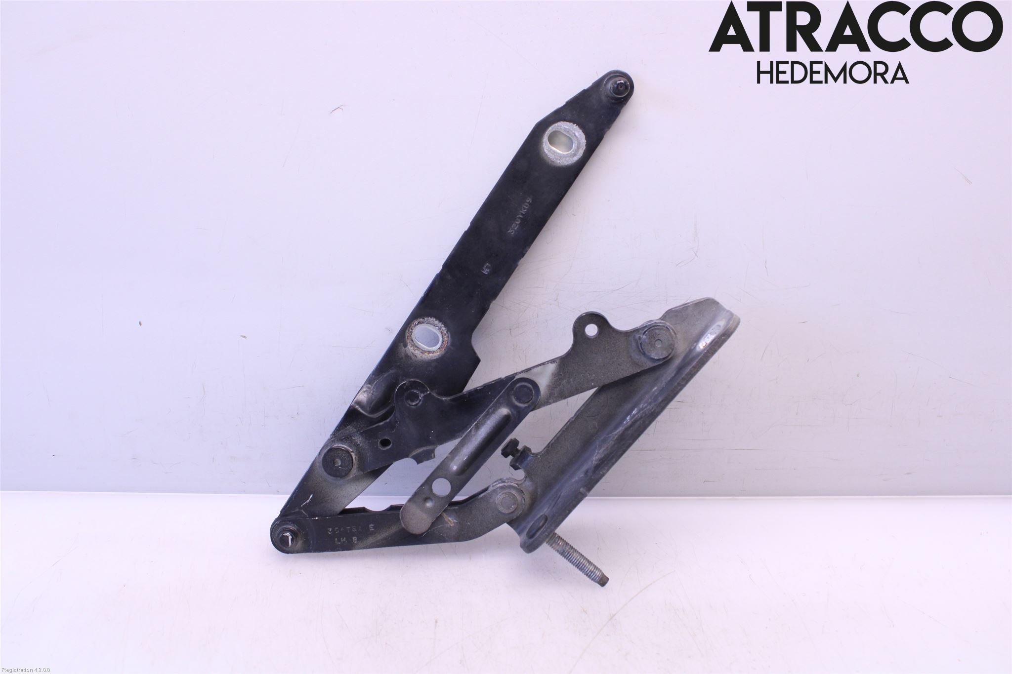 Landrover RANGE ROVER SPORT (L320) 10-13 Panser Hengsel - Hengsler