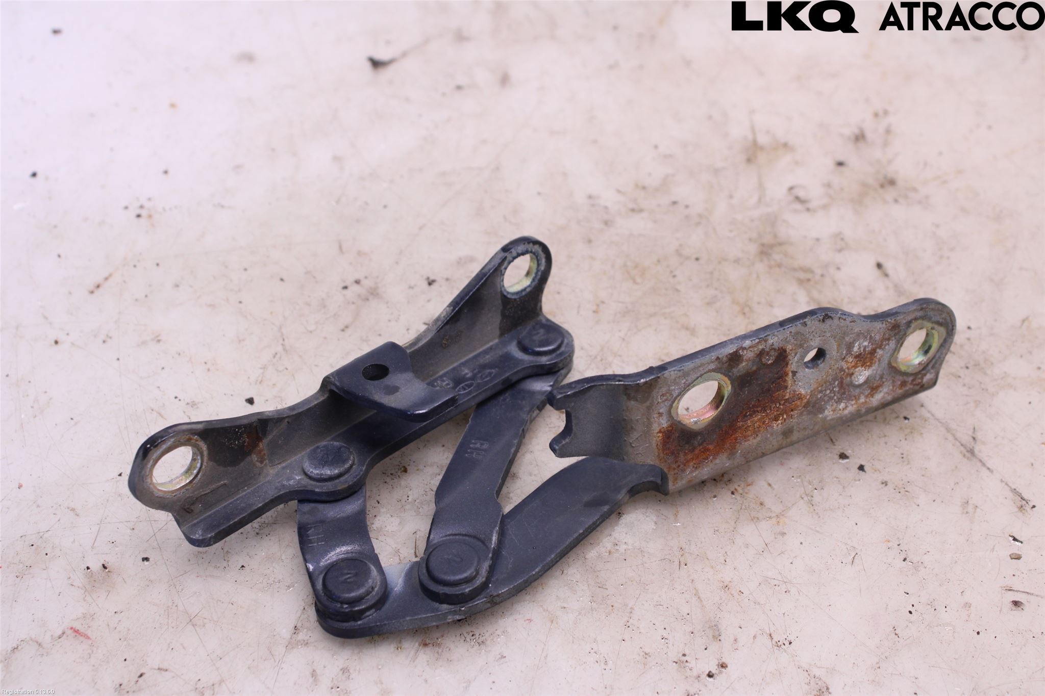 Kia OPIRUS Panser Hengsel - Hengsler