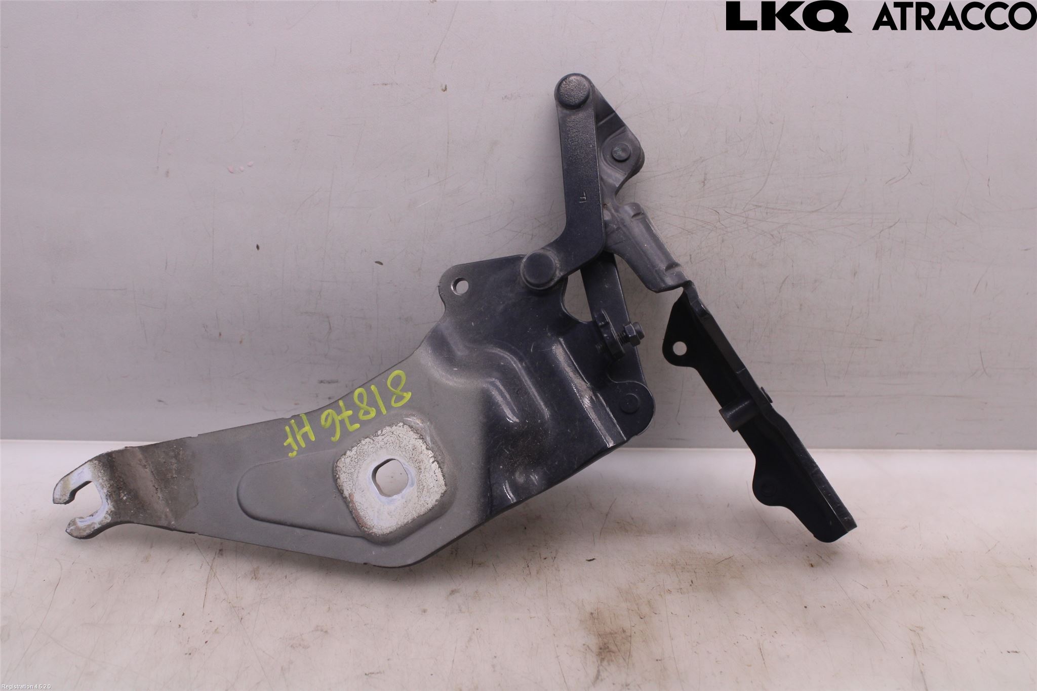 BMW X5 E70 07-13 Panser Hengsel - Hengsler