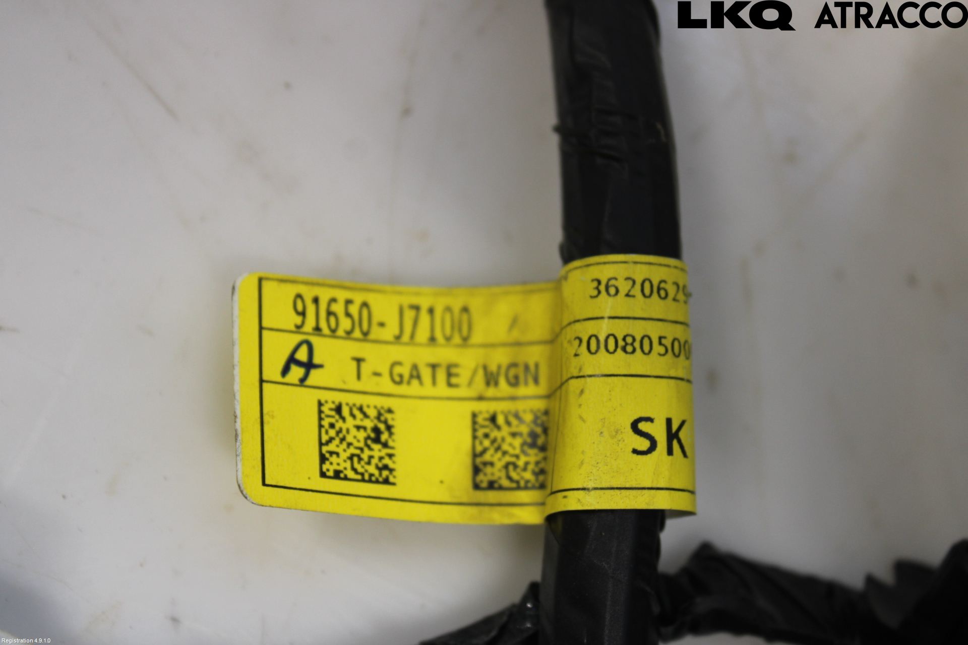 Kia CEED/CEED SW 19- Ledningsnett