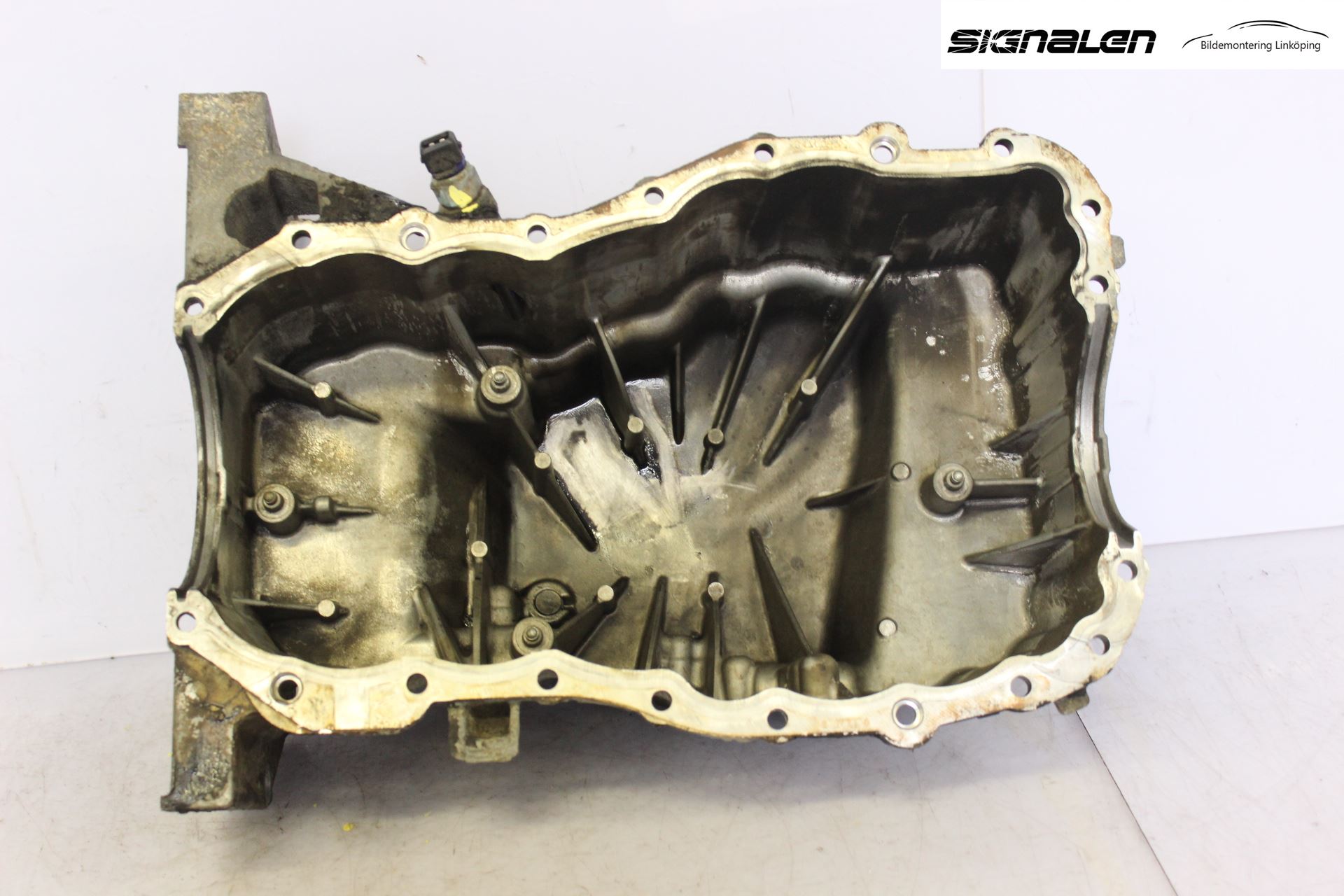 Renault CLIO III  09-12 Bunnpanne