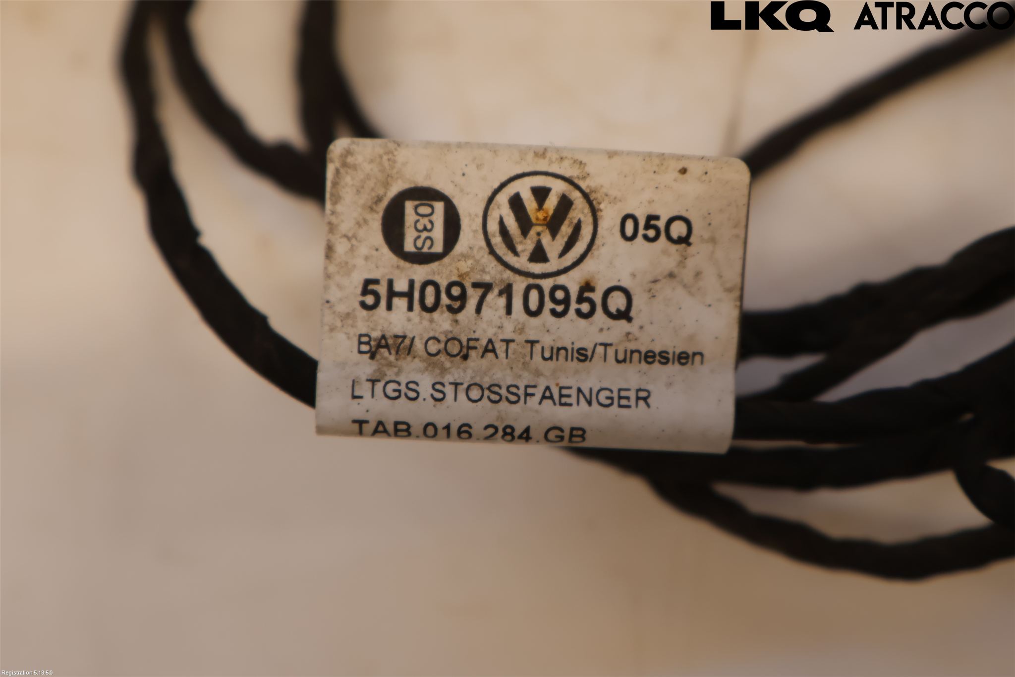 Volkswagen VW GOLF / E-GOLF VIII 20- Ledningsnett