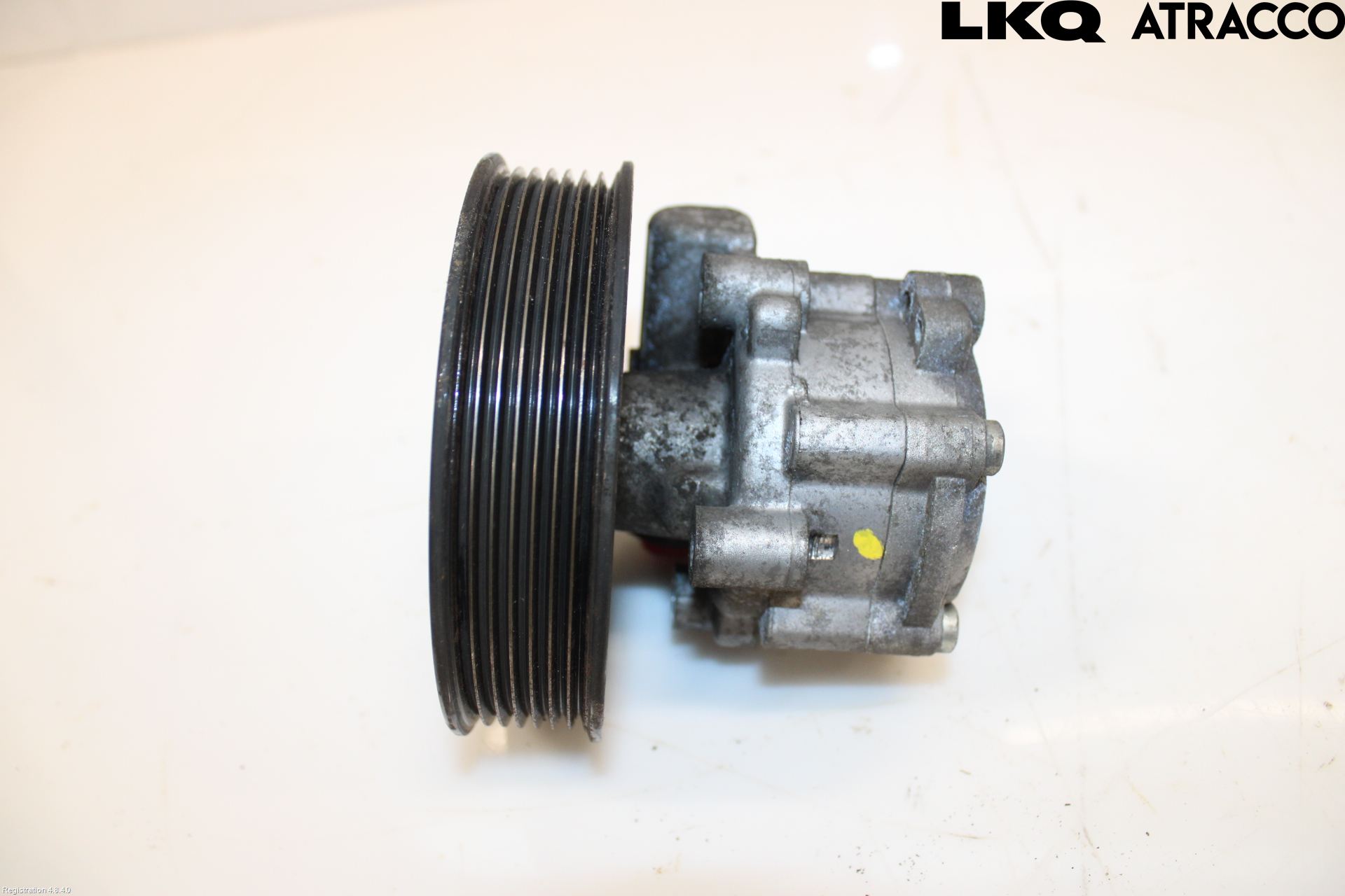 Renault TRAFIC   02-14 Servo Pumpe