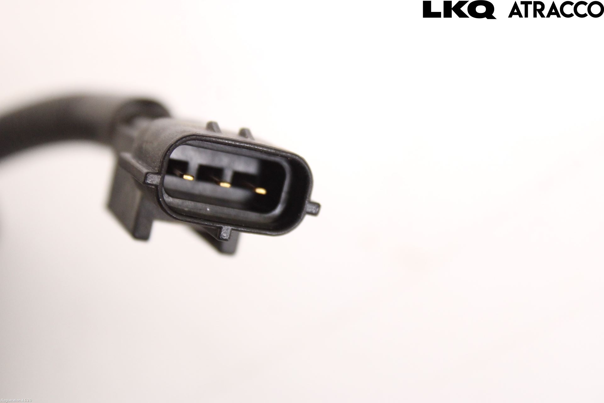 Kia NIRO (DE) 17-22 Giver Turtall - Tenning