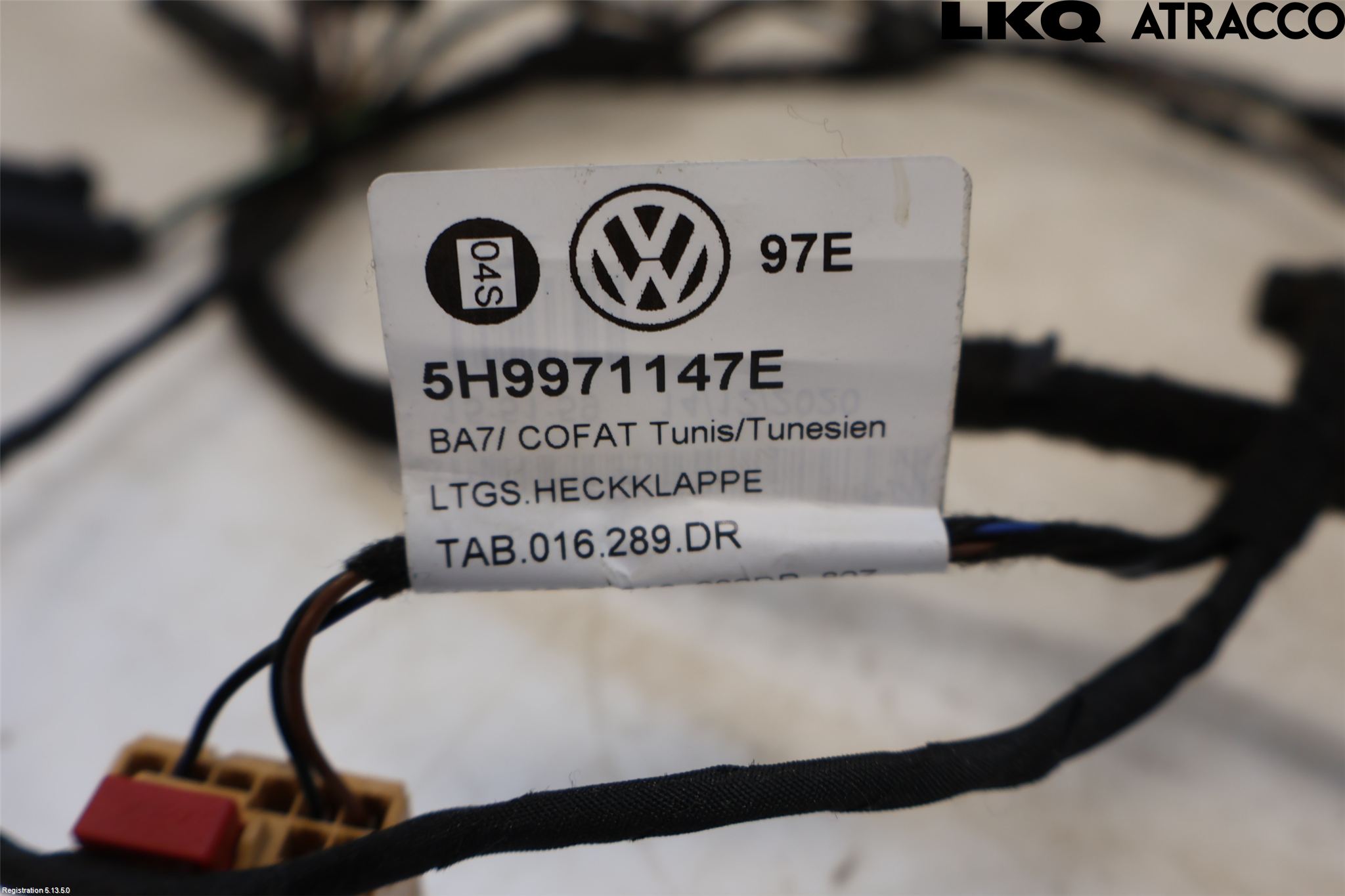 Volkswagen VW GOLF / E-GOLF VIII 20- Ledningsnett