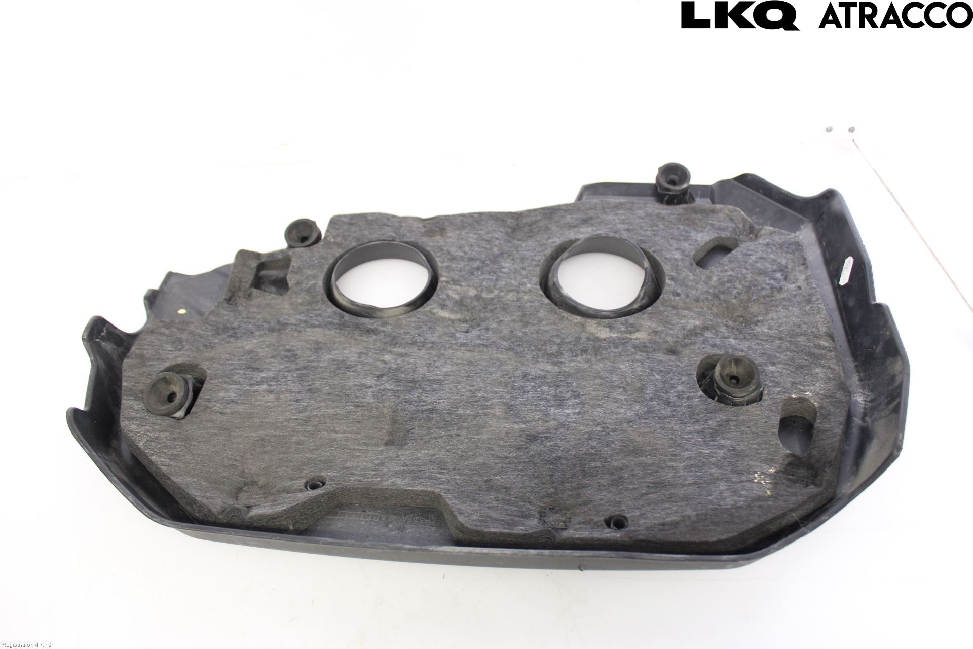 Landrover LAND ROVER RANGE ROVER EVOQUE (L538) 11-18 Motor Deksel Over Motor