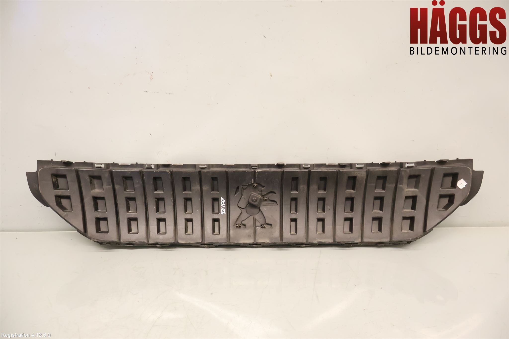 Peugeot EXPERT/E-EXPERT 17- Grill Komplett