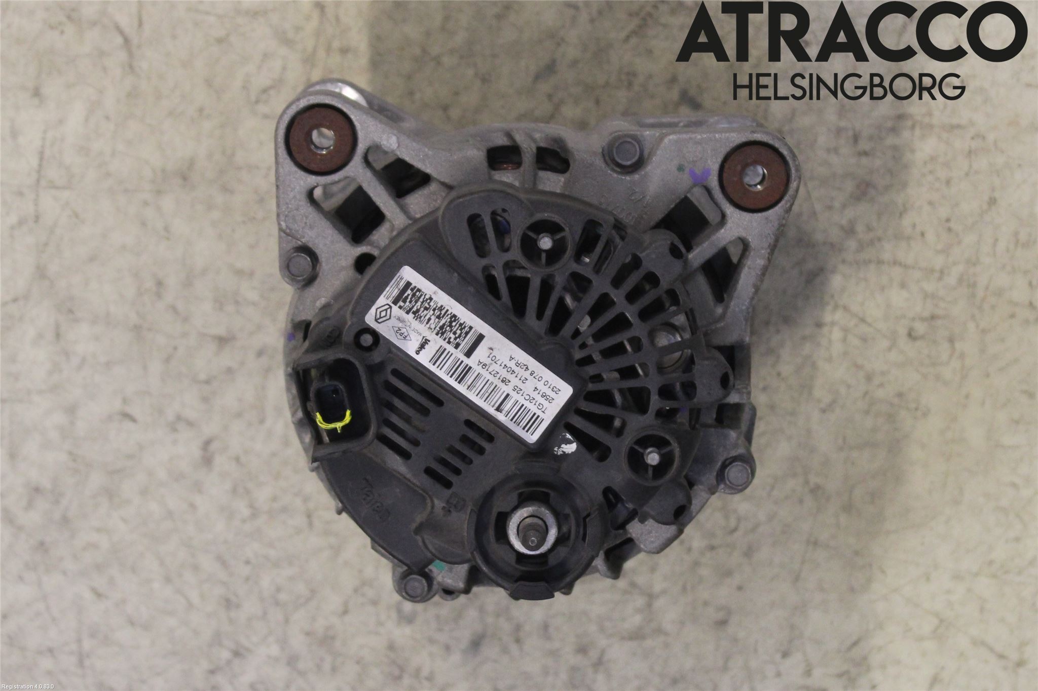 Renault CAPTUR 13-19 Dynamo
