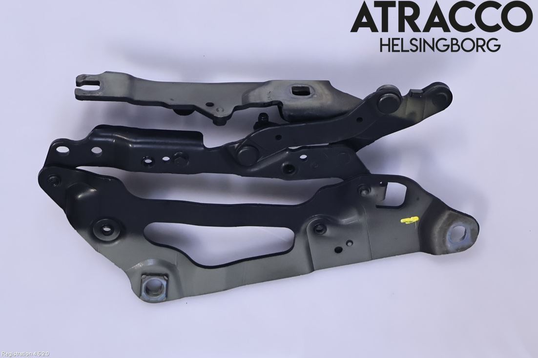 BMW 5 GT F07 09-17 Panser Hengsel - Hengsler