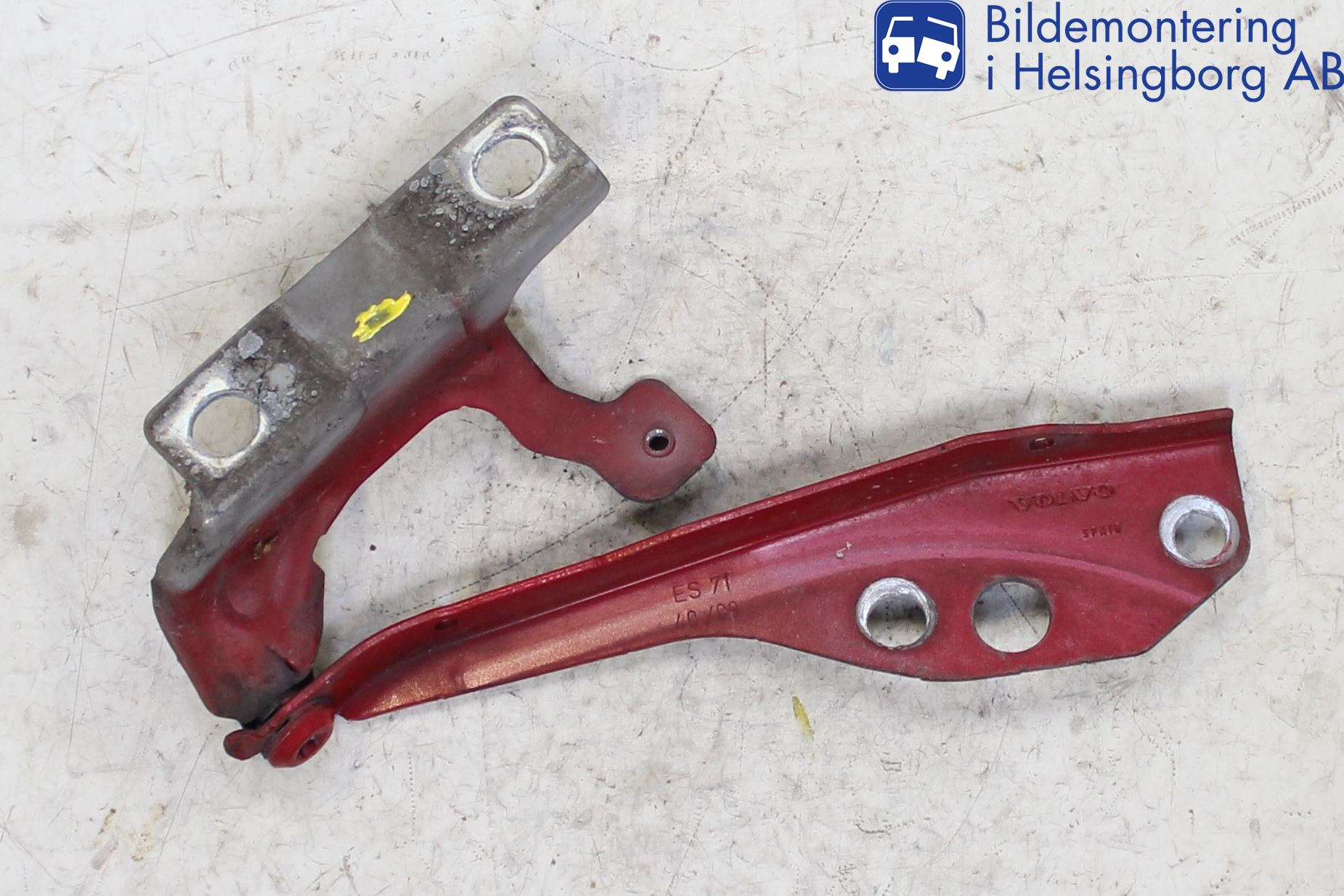 Volvo V50 08-12 Panser Hengsel - Hengsler