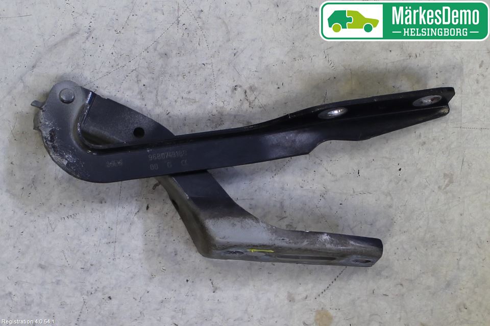 Peugeot 307     05-08 Panser Hengsel - Hengsler