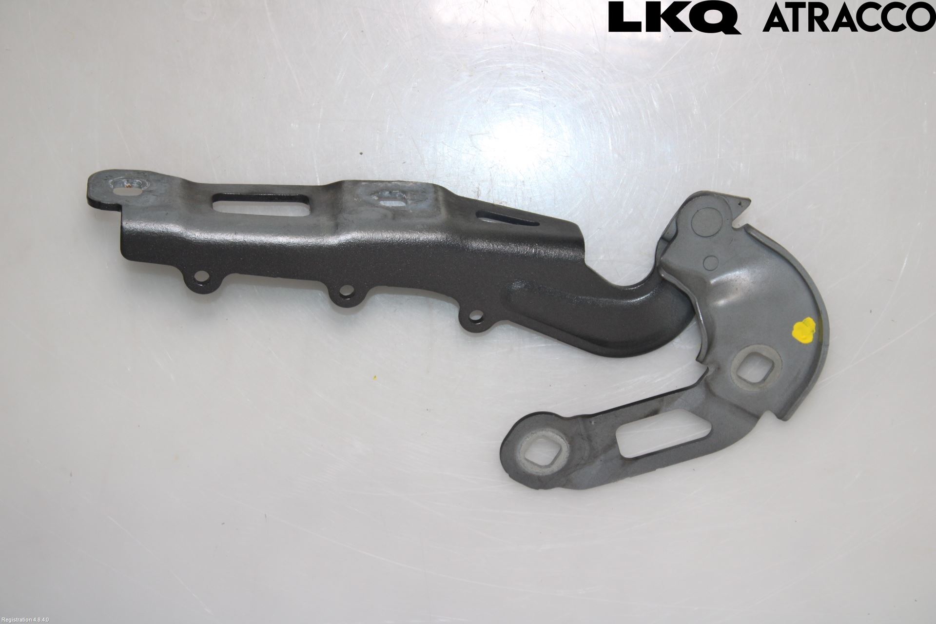 Ford FOCUS 19- Panser Hengsel - Hengsler