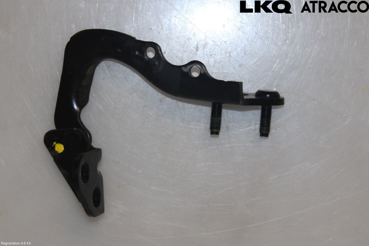 Landrover LAND ROVER RANGE ROVER EVOQUE (L538) 11-18 Bakluke Hengsel Venstre