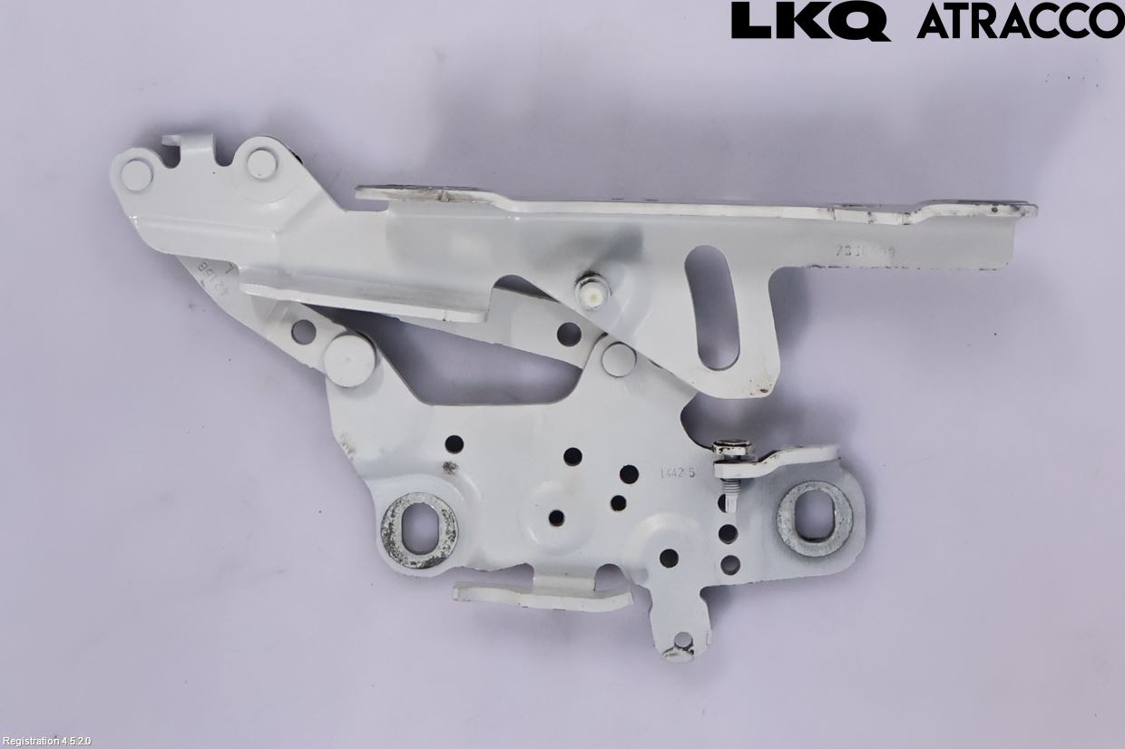 BMW 3 F30/F31/F80 12-19 Panser Hengsel - Hengsler
