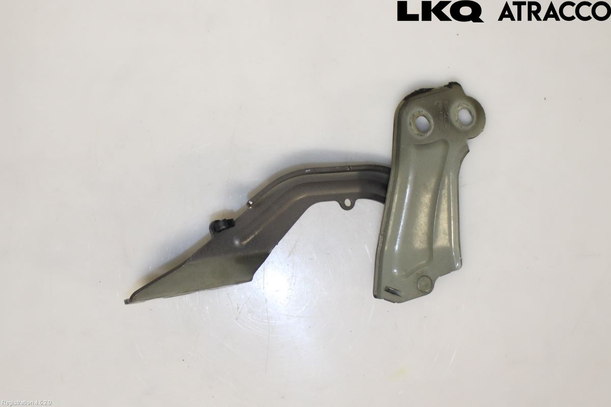 Ford FOCUS 11-14 Panser Hengsel - Hengsler