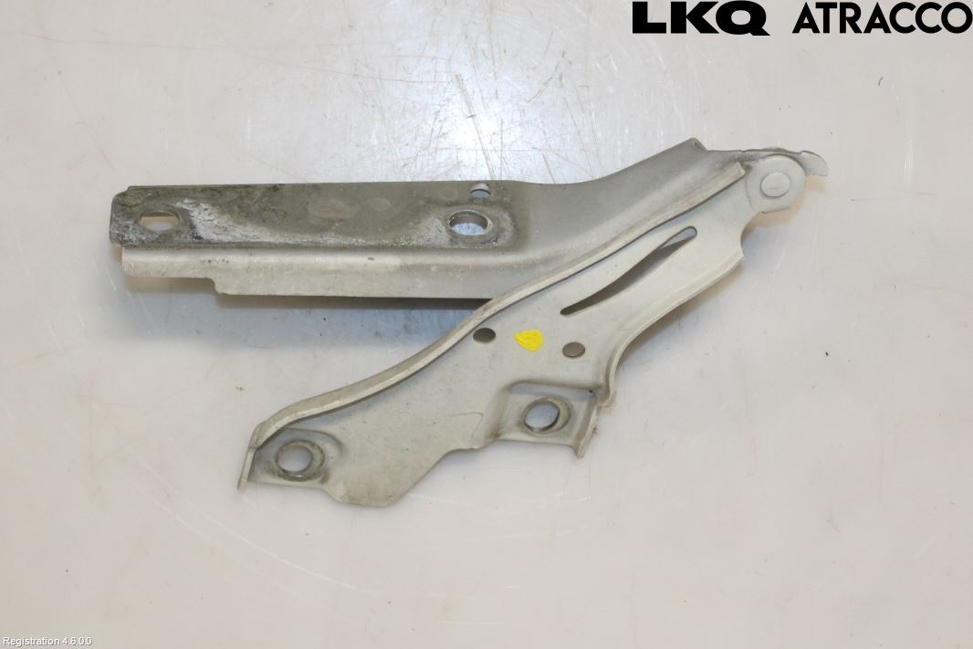 Volkswagen VW PASSAT 15-19 Panser Hengsel - Hengsler
