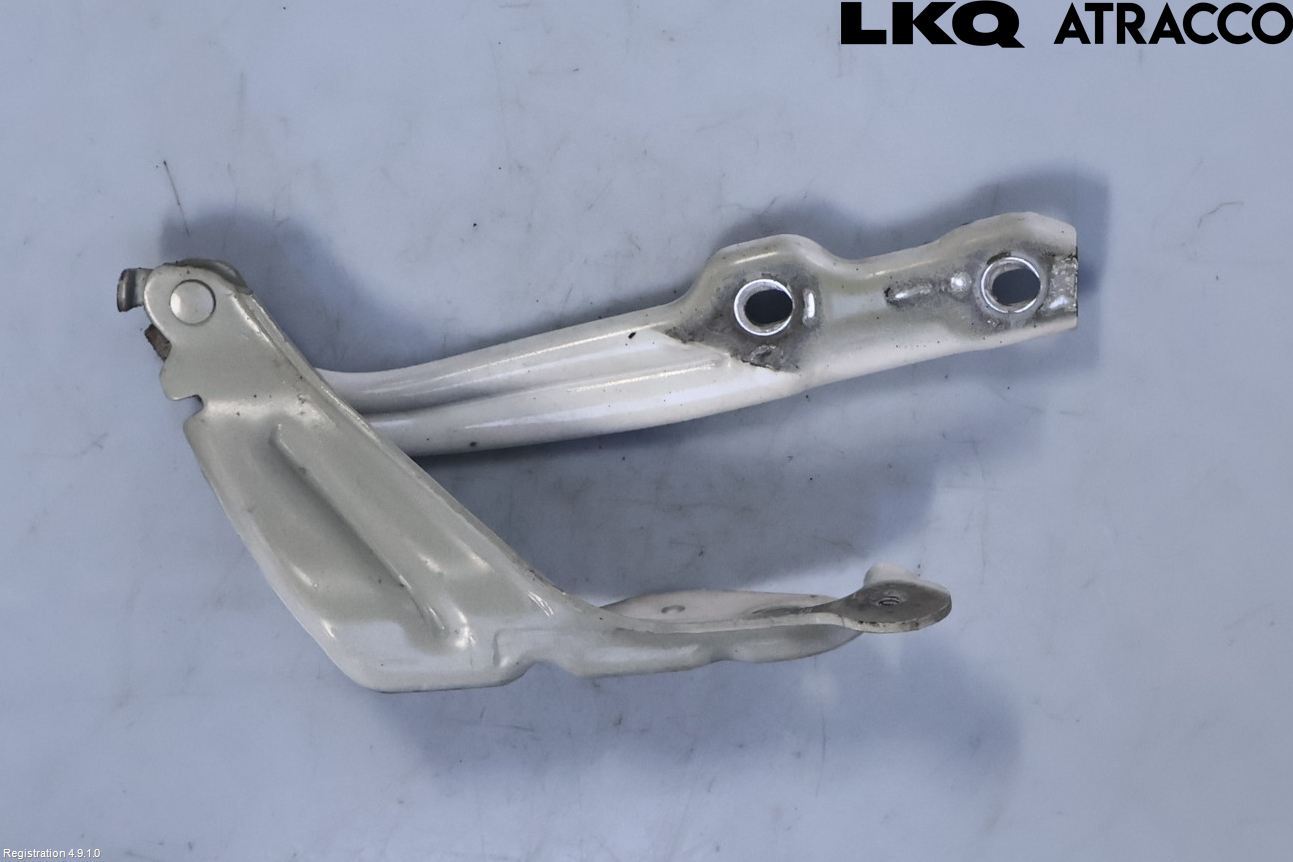 Skoda OCTAVIA (5E) 13-20 Panser Hengsel - Hengsler