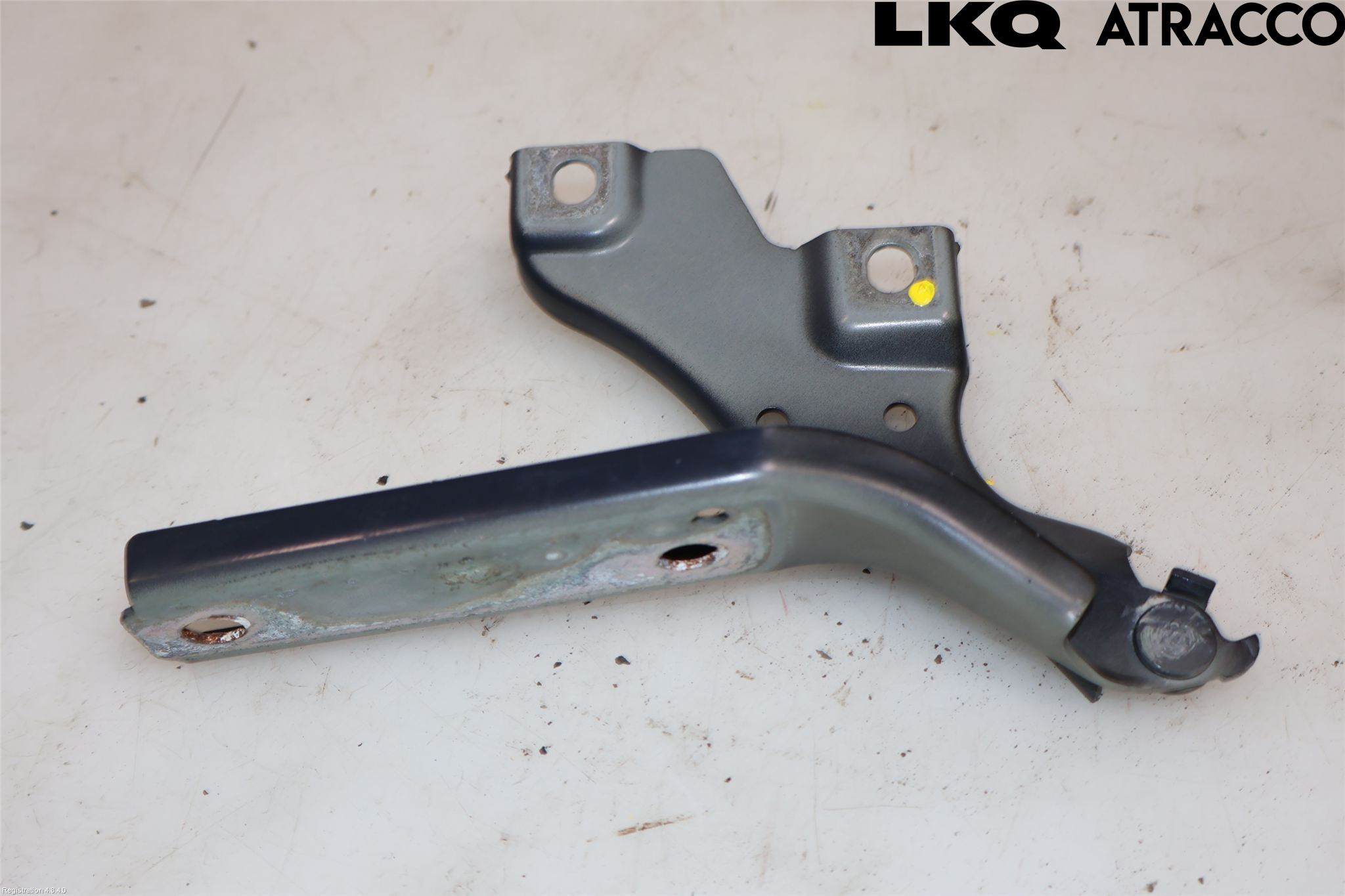 Volkswagen VW PASSAT 15-19 Panser Hengsel - Hengsler
