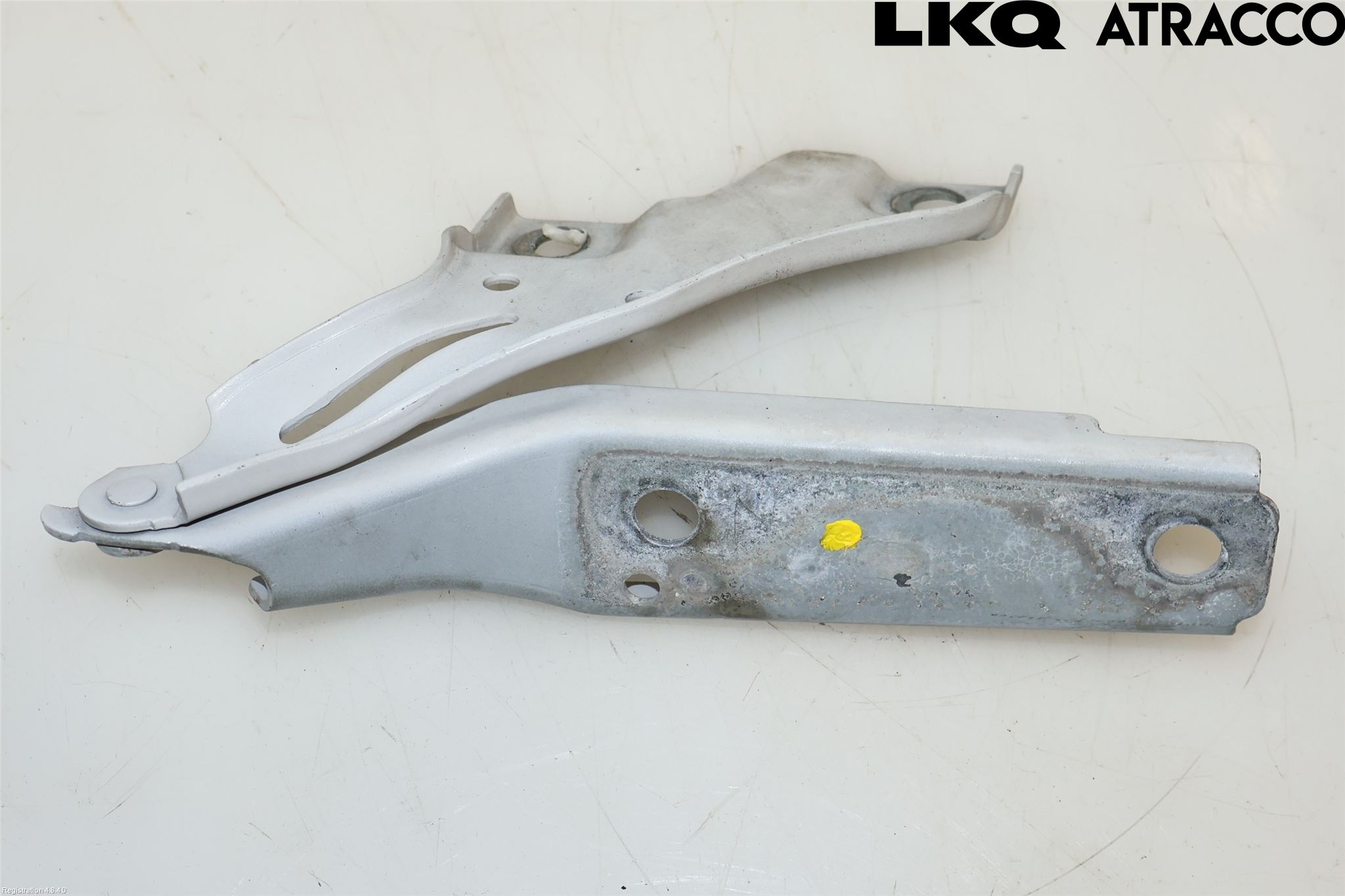 Volkswagen VW PASSAT 15-19 Panser Hengsel - Hengsler