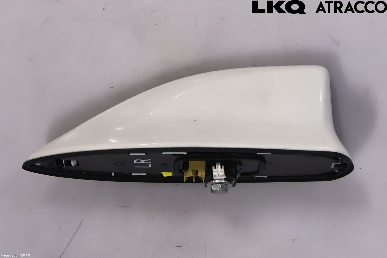 Toyota RAV4 19- Stereo Antenne Radio-Tv