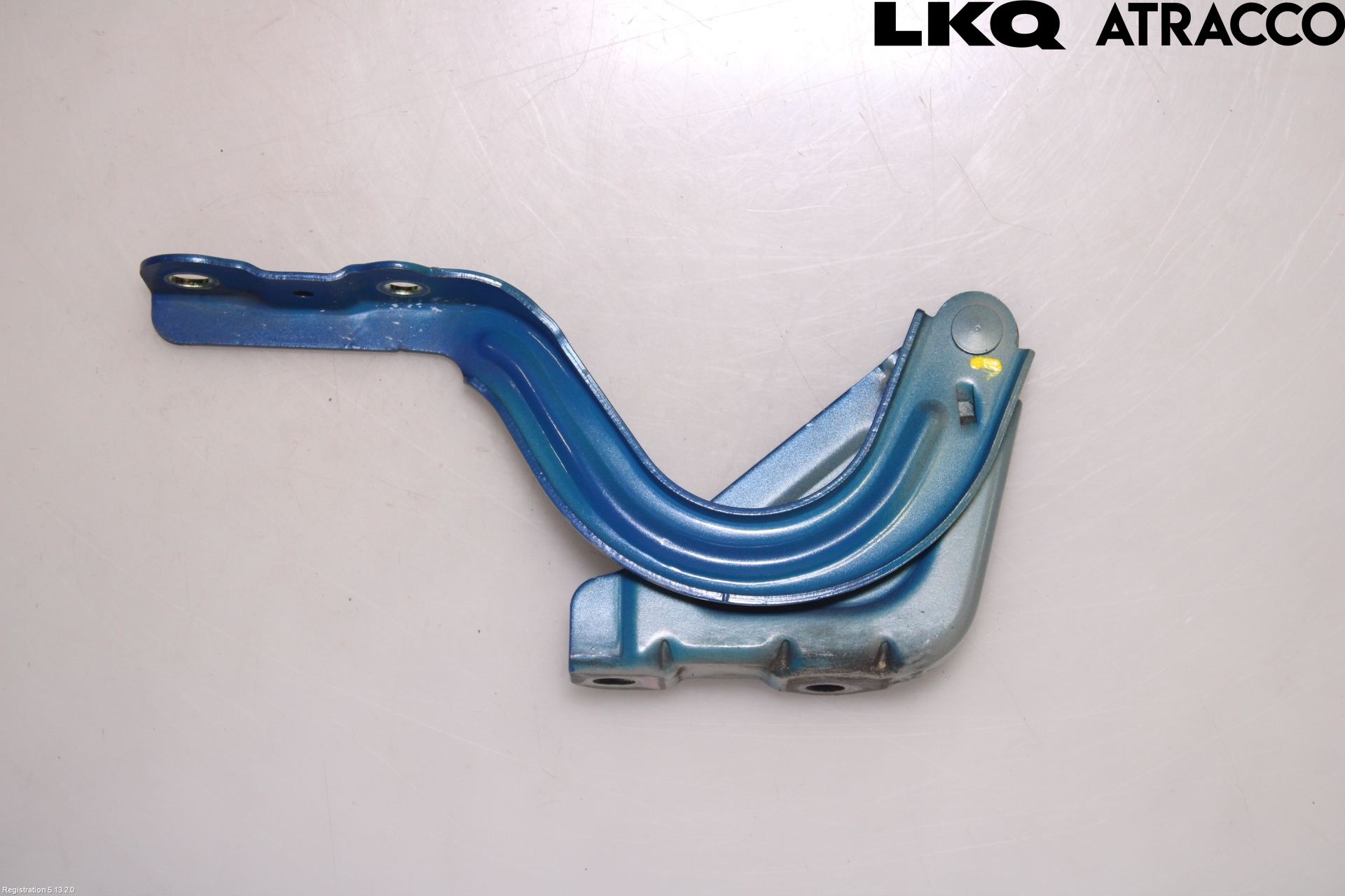 Hyundai IONIQ AE 17-22 Panser Hengsel - Hengsler