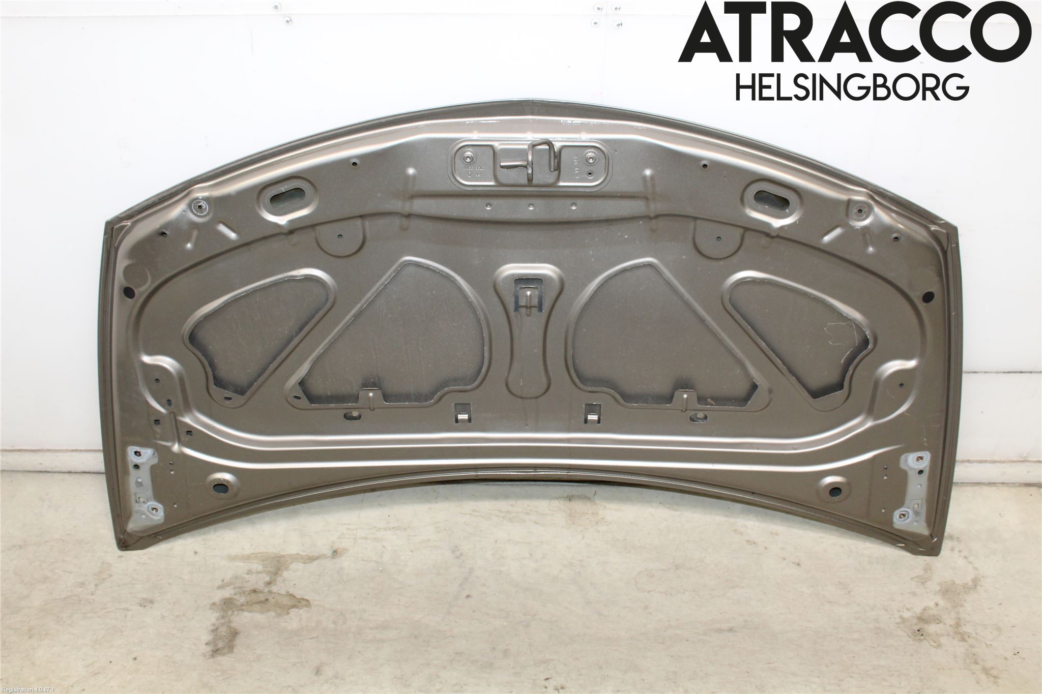 Renault CLIO III  09-12 Panser