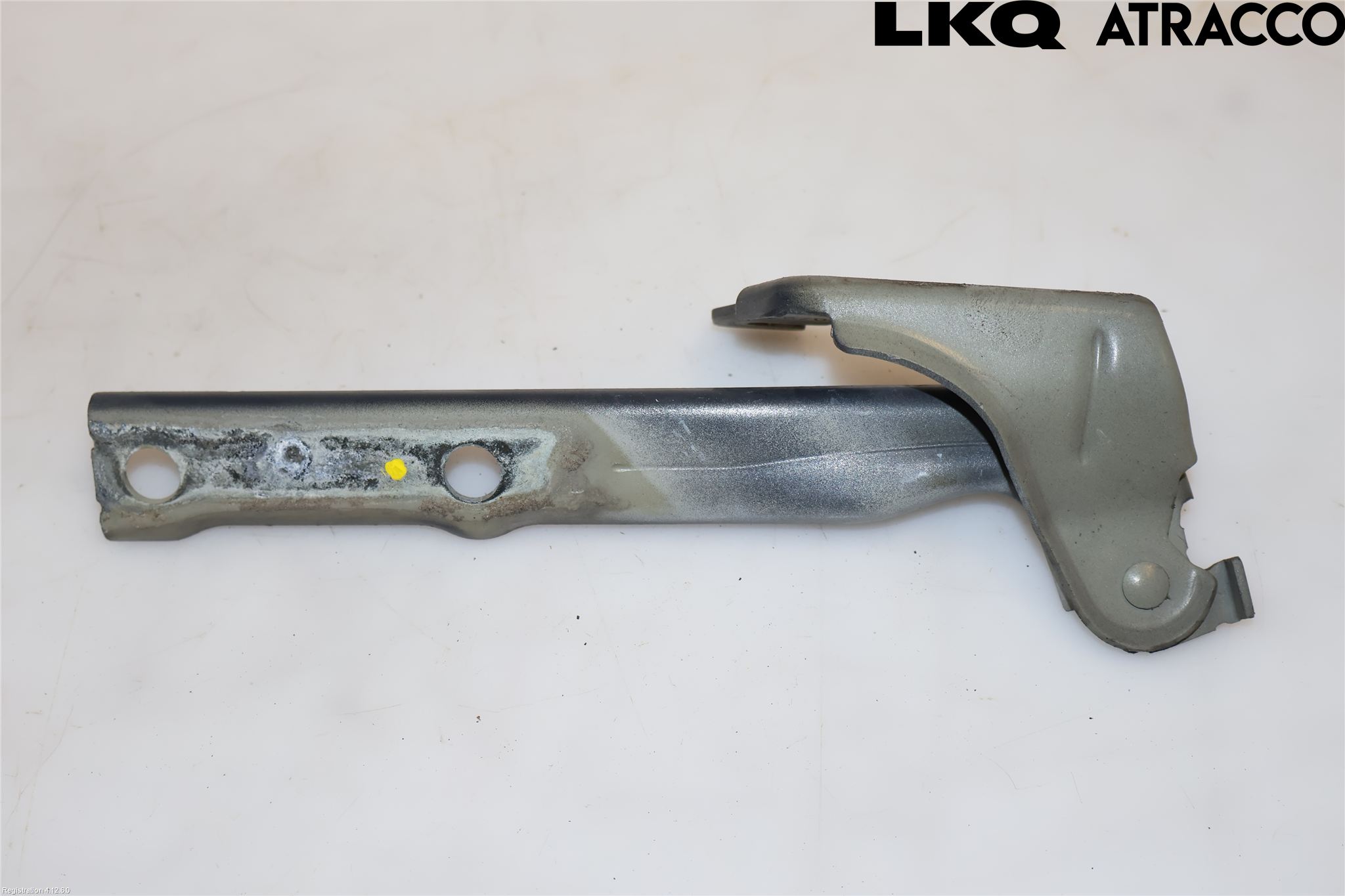 Volkswagen VW TIGUAN 07-16 Panser Hengsel - Hengsler