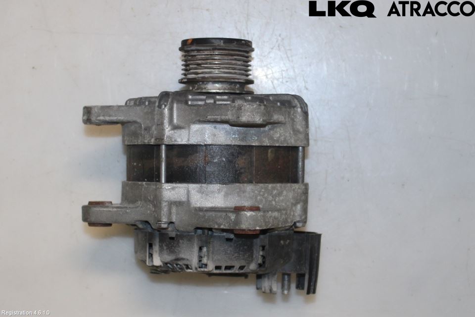 Renault KANGOO II 15-21 Dynamo