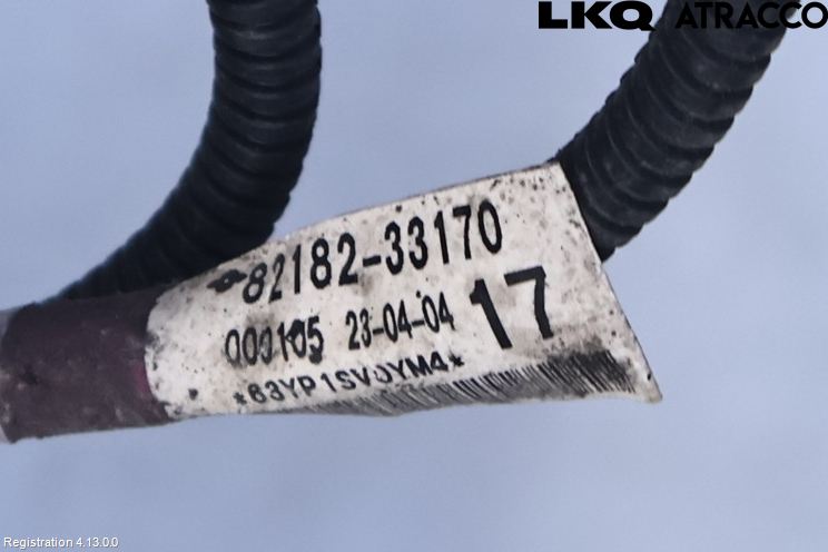 Toyota CAMRY 19-24 Ledningsnett