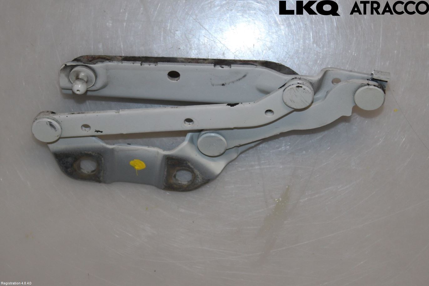 Landrover LAND ROVER RANGE ROVER EVOQUE (L538) 11-18 Panser Hengsel - Hengsler
