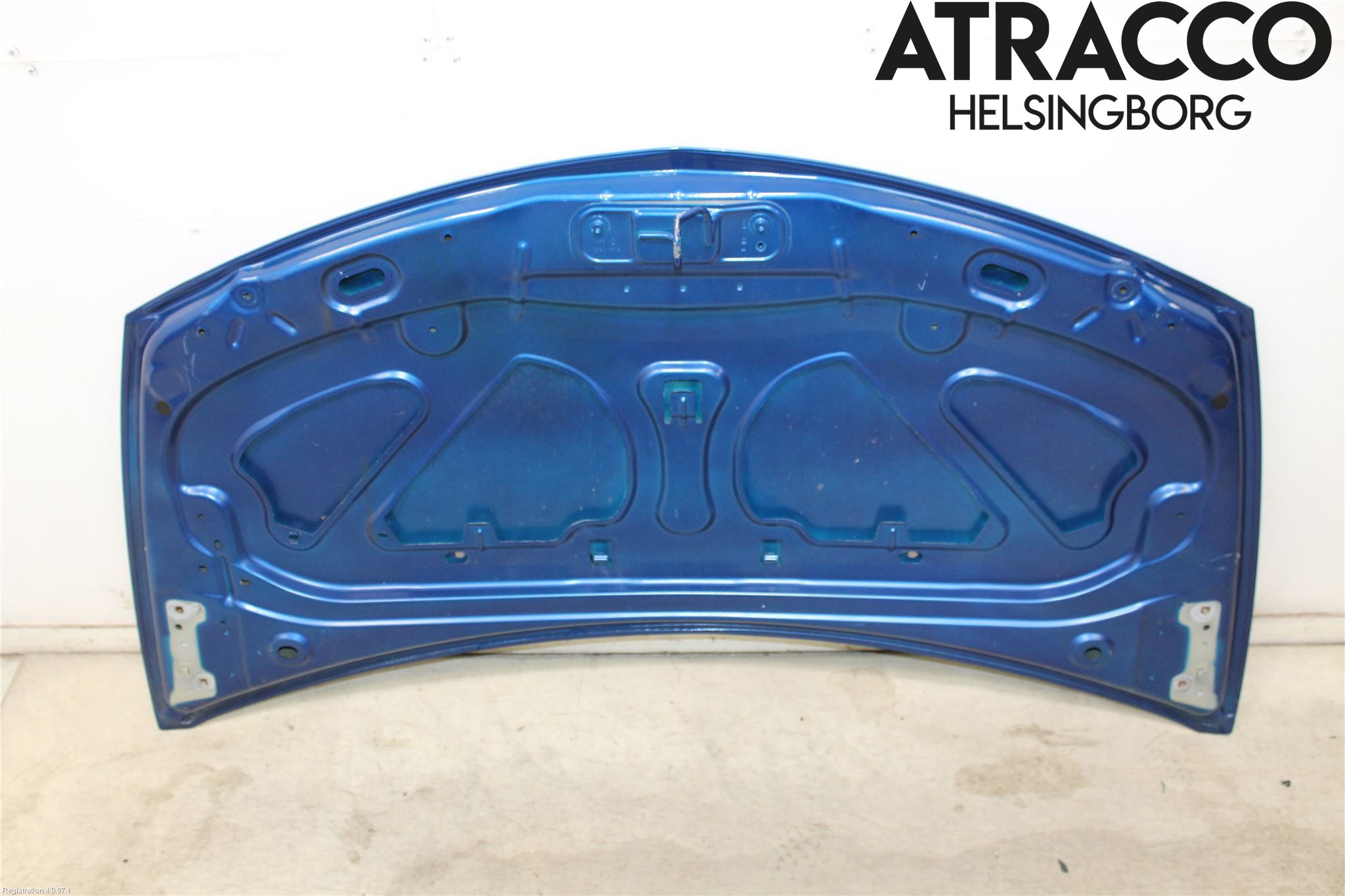 Renault CLIO III  06-09 Panser