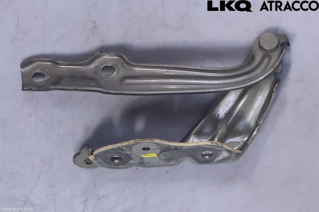 Skoda OCTAVIA (5E) 13-20 Panser Hengsel - Hengsler