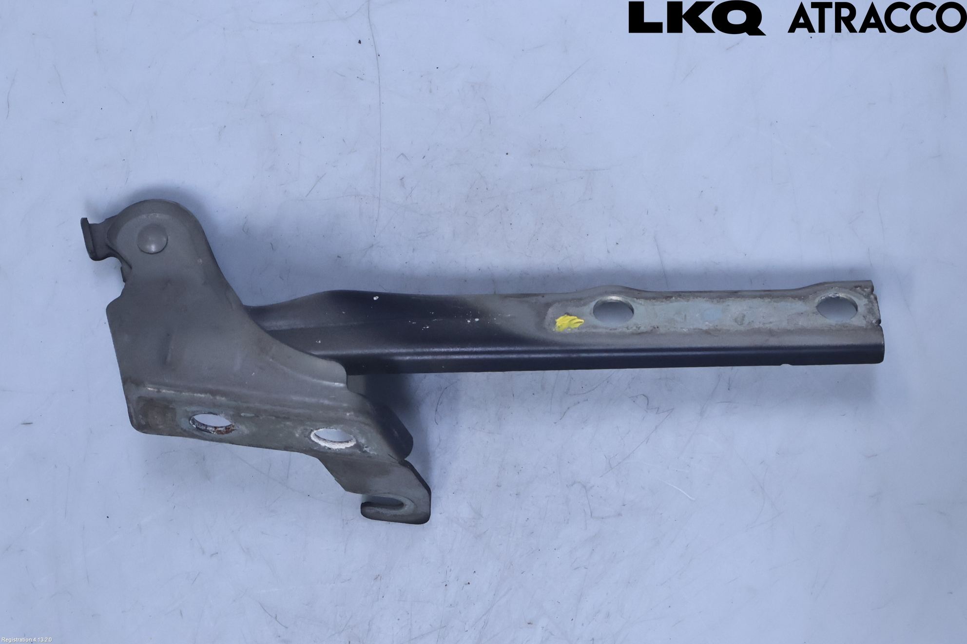 Volkswagen VW TIGUAN 07-16 Panser Hengsel - Hengsler